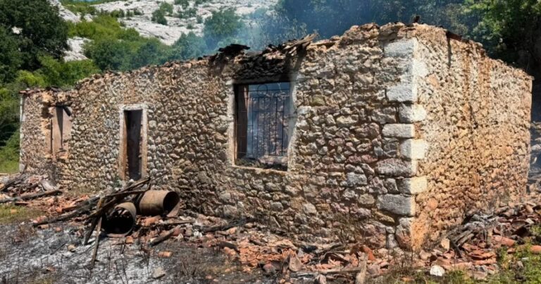Tragjedi në vend: Nëna dhe dy fëmijët h*mbin jetën nga fIakët në banesë