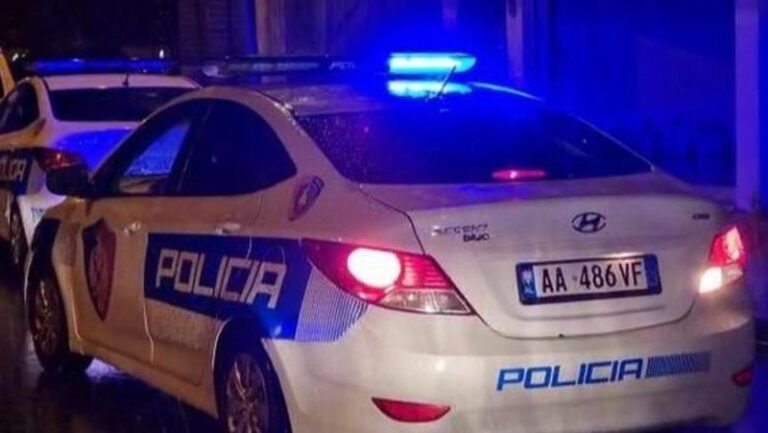Aksident tr*gjik në vend, “Audi” përpIas për vd*kje 12-vjeçarin!