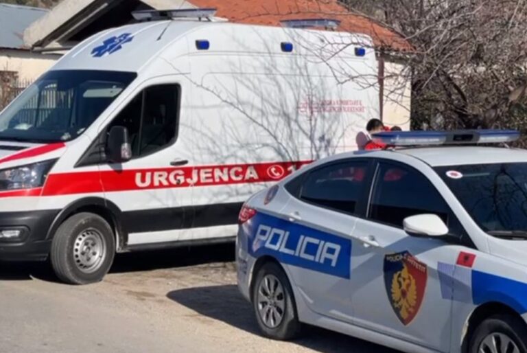 Aksident i frikshëm! Humbin jetën dy vëllezër, dalin fotot dhe detajet