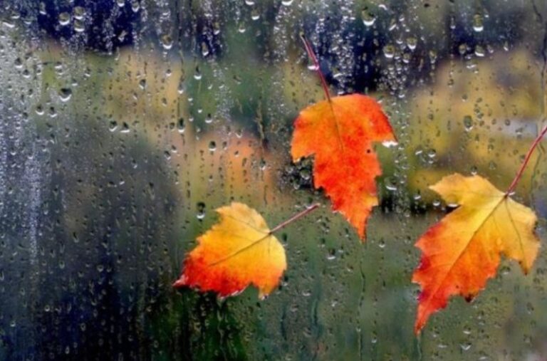 Vala e të nxehtit, meteorologët: Kur pritet rënia e temperaturave në shtator?