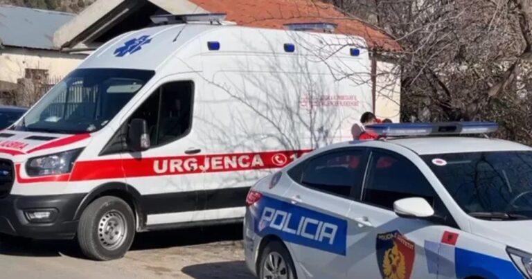 Zbardhen detaje tragjike nga vr*sja e babait dhe djalit në Dukagjin/ Ja cfarë u zbulua