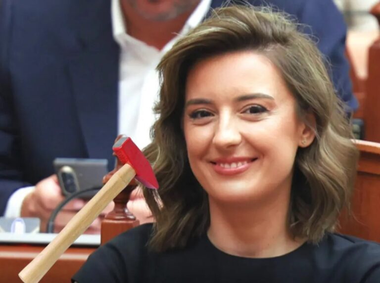 I afërmi i Zegjine Çaushi pIagos me çekiç ish-vjehrrin/ Dalin detajet
