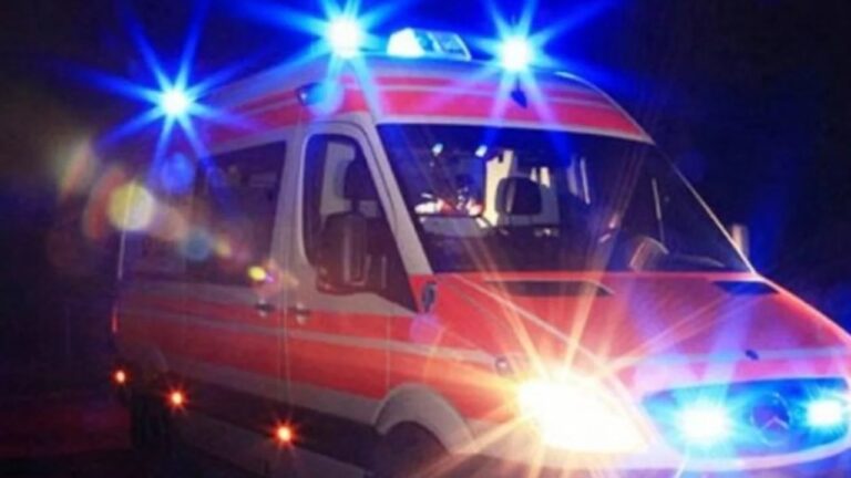 TR0NDITESE në vend/ Babai g*det aks*dentalisht me mjet bujqësor të bijën, h*mb jetën 3-vjeçarja
